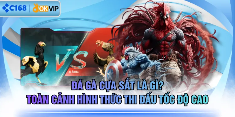 Đá Gà Cựa Sắt Là Gì? Toàn Cảnh Hình Thức Thi Đấu Tốc Độ Cao