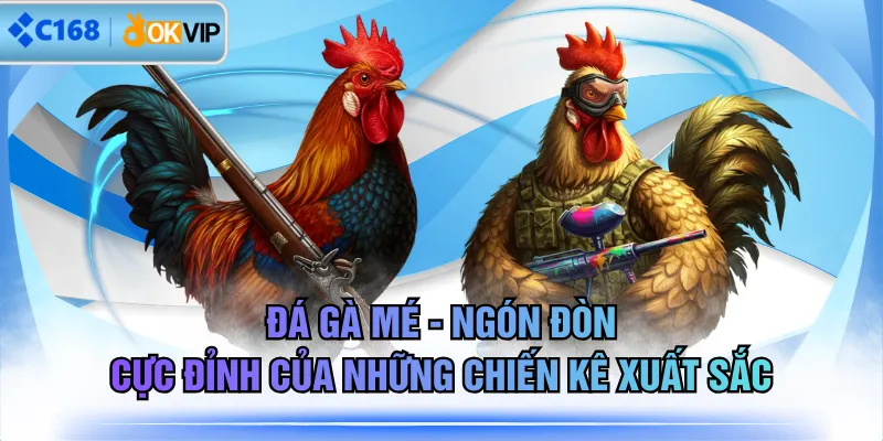 Đá Gà Mé - Ngón Đòn Cực Đỉnh Của Những Chiến Kê Xuất Sắc
