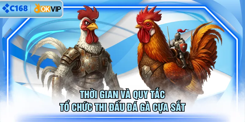 Thời gian và quy tắc tổ chức thi đấu đá gà cựa sắt