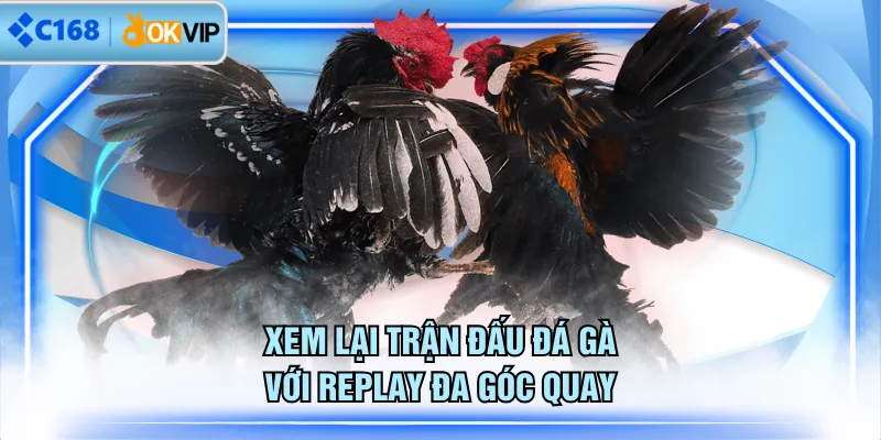 Xem lại trận đấu đá gà với replay đa góc quay